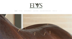 Desktop Screenshot of eivs-dvm.com